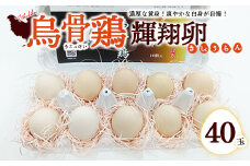 烏骨鶏　濃厚な黄身！爽やかな白身が自慢！【烏骨鶏輝翔卵】40玉 ◇ ※離島への配送不可