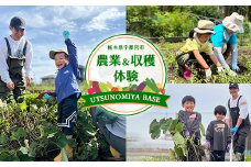 UTSUNOMIYA BASE農業、収穫体験