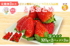 【先行予約】＜いちご3か月定期便＞栃木県産とちおとめ320g×2パック 3Lサイズ 3回｜栃木県 宇都宮市 いちご 苺 とちおとめ イチゴ フルーツ 果物 新鮮 平積み 甘い 糖度 旬 産地直送 2026年1月 2月 3月 ※離島への配送不可 ※2026年1月中旬～4月中旬頃に順次発送予定