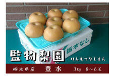 栃木県産 梨【豊水】3kg（8～6玉） ※2025年10月下旬～11月下旬頃に順次発送予定 ※離島への配送不可