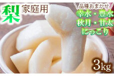 【家庭用】品種おまかせ 梨 3kg 幸水 豊水 秋月 甘太 にっこり｜ 栃木県産 果物 フルーツ　※離島への配送不可