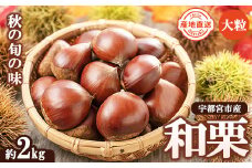 栗(2L以上サイズ混合）2kg｜ 栗 くり クリ 栗ご飯 焼き栗 期間限定 季節限定 数量限定 大粒 旬 ※北海道・沖縄・九州・離島への配送不可 ※2024年9月中旬～10月上旬頃に順次発送予定