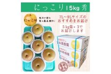 にっこり 15kg 18～24玉 ｜ 栃木県産 宇都宮市 梨 なし にっこり フルーツ 果物 ※離島への配送不可 ※2025年10月上旬頃より順次発送予定