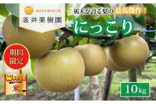 ＼9末まで 寄附額改定／にっこり 10kg 12～16玉 ｜ 栃木県産 宇都宮市 梨 なし にっこり フルーツ 果物 ※離島への配送不可 ※2025年10月上旬頃より順次発送予定