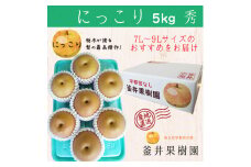 にっこり 5kg 6～8玉 ｜ 栃木県産 宇都宮市 梨 なし にっこり フルーツ 果物 ※離島への配送不可 ※2025年10月上旬頃より順次発送予定
