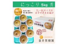 にっこり 5kg 6～8玉 ｜ 栃木県産 宇都宮市 梨 なし にっこり フルーツ 果物 ※離島への配送不可 ※2025年10月上旬頃より順次発送予定