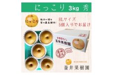 にっこり 3kg 5玉 ｜ 栃木県産 宇都宮市 梨 なし にっこり フルーツ 果物 ※離島への配送不可 ※2025年10月上旬頃より順次発送予定