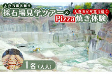 大谷石露天掘り採石場見学ツアー＆大谷石ピザ窯で焼くPizza焼き体験 大人1名 | 栃木県 宇都宮市 大谷石 カネホン採石場 チケット 観光 旅行 ツアー ※離島への配送不可