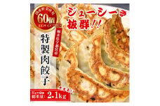 テレビで紹介！餃子専門店 宇都宮 悟空 特製肉餃子60個入 ❘ 餃子 冷凍 ぎょうざ ギョーザ 大容量 肉たっぷり 肉多め 大きい 人気 名物 行列 国産野菜 国産豚肉 ジューシー スタミナ パリパリ もちもち グルメ おかず おつまみ 栃木県 簡単 小分け 冷凍食品 ※離島への配送不可
