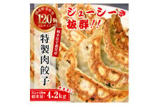 テレビで紹介！餃子専門店 宇都宮 悟空 特製肉餃子120個入 ❘ 餃子 冷凍 ぎょうざ ギョーザ 大容量 肉たっぷり 肉多め 大きい 人気 名物 行列 国産野菜 国産豚肉 ジューシー スタミナ パリパリ もちもち グルメ おかず おつまみ 栃木県 簡単 小分け 冷凍食品 ※離島への配送不可