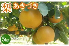 【先行予約】【産地直送】あきづき 梨（10玉～12玉）
※離島への配送不可
※2024年9月下旬頃～順次発送予定