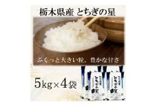 【令和6年産】栃木県産とちぎの星 （精米）5kg×4袋 ｜ お米 白米 一等米 送料無料 栃木県 宇都宮市　※離島への配送不可