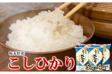 【令和6年産】栃木県産こしひかり（精米・5kg×4袋）　※離島への配送不可