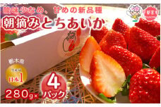 【3月発送】朝摘み とちあいか 4パックセット | いちご 栃木 とちあいか 甘い 糖度 旬 新鮮 フルーツ 果物 アレンジ スイーツ いちごジャム フルーツサンド
※離島への配送不可
※2025年1月～3月頃に順次発送予定