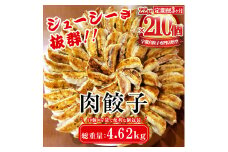 【3ヶ月定期便】餃子専門店 宇都宮 悟空 肉餃子 22g×70個入×3ヶ月｜餃子 冷凍 ぎょうざ ギョーザ  大容量  肉たっぷり 肉多め 人気 名物 行列 国産野菜 国産豚肉 ジューシー スタミナ パリパリ もちもち グルメ おかず おつまみ  栃木県 簡単 小分け 冷凍食品 定期便 ※離島への配送不可
