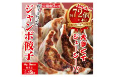 【3ヶ月定期便】餃子専門店 宇都宮 悟空 ジャンボ餃子 24個入×3ヶ月 ❘  餃子 冷凍 ぎょうざ ギョーザ  大容量 肉たっぷり 肉多め ジャンボ 大きい 人気 名物 行列 国産野菜 国産豚肉 ジューシー スタミナ パリパリ もちもち グルメ おかず おつまみ  栃木県 簡単 小分け 冷凍食品 定期便 ※離島への配送不可