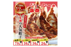 【12ヶ月定期便】餃子専門店 宇都宮 悟空 4種の人気餃子定期便 ❘餃子 冷凍 ぎょうざ ギョーザ 紫蘇 シソ 肉たっぷり 肉多め  大きい ジャンボ 人気 名物 行列 国産野菜 国産豚肉 ジューシー スタミナ パリパリ もちもち グルメ おかず 食べ比べ おつまみ 栃木県 簡単 小分け 冷凍食品 ※離島への配送不可 