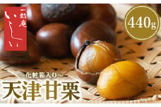 天津甘栗 化粧箱入り 440g | 甘栗 殻付き 焼き栗 ギフト お土産 お菓子 栃木県 宇都宮市 ※離島への配送不可