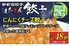 宇都宮餃子 はちまん餃子 にんにくチーズ餃子 48個（12個入り×4袋/1個 22g） ｜ 宇都宮餃子 国産野菜 グルメ 宇都宮市 ぎょうざ ギョーザ 野菜 冷凍食品 冷凍餃子 焼き餃子 水餃子
