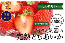 ＼9末まで 寄附額改定／阿部梨園の完熟とちあいか（ふぞろい） ※離島への配送不可 ※2025年12月上旬～2026年5月中旬頃に順次発送予定