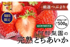 ＼9末まで 寄附額改定／阿部梨園の完熟とちあいか（厳選つぶより） ※離島への配送不可 ※2025年12月上旬～2026年5月中旬頃に順次発送予定