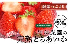 阿部梨園の完熟とちあいか（厳選つぶより） ※離島への配送不可 ※2025年12月上旬～2026年5月中旬頃に順次発送予定