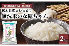 【無洗米】栃木県産コシヒカリ いな穂ちゃん 2kg【栃木県共通返礼品・栃木県産】◆