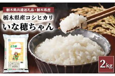 栃木県産コシヒカリ いな穂ちゃん 2kg【栃木県共通返礼品・栃木県産】◆