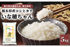 栃木県産コシヒカリ いな穂ちゃん 5kg【栃木県共通返礼品・栃木県産】◆