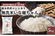 【無洗米】栃木県産コシヒカリ いな穂ちゃん 5kg【栃木県共通返礼品・栃木県産】◆