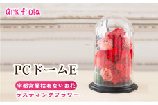 PCドーム タイプE
