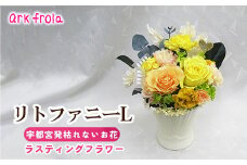 リトファニー L