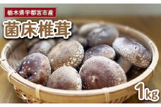 【先行受付】栃木県宇都宮市産　菌床椎茸　1kg ※2025年11月以降順次発送予定