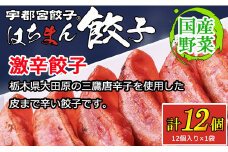 宇都宮餃子 はちまん餃子 激辛餃子 12個（12個入り×1袋/1個 22g） ｜ 宇都宮餃子 国産野菜 グルメ 宇都宮市 餃子 冷凍 ぎょうざ ギョーザ 野菜 冷凍食品 冷凍餃子 焼き餃子 水餃子
