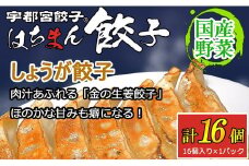 宇都宮餃子 はちまん餃子 しょうが餃子 16個 （16個入り×1パック/1個 22g） ｜ 宇都宮餃子 国産野菜 グルメ 宇都宮市 しょうが ぎょうざ ギョーザ 野菜 冷凍食品 冷凍餃子 焼き餃子 水餃子