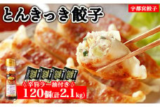 宇都宮餃子 とんきっき 餃子120個セット（計2.1kg）+ 辛旨ラー油 1本 ※離島への配送不可