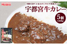宇都宮牛カレー 200g×5個セット