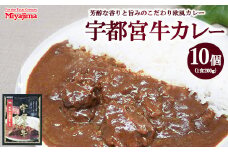 宇都宮牛カレー 200g×10個セット
