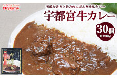 宇都宮牛カレー 200g×30個セット