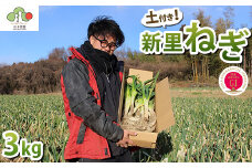 【GI産品】『新里ねぎ』 GIマーク取得のブランド伝統野菜 土付き 3kg