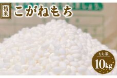 令和7年度産 こがねもち 精米 10kg ｜ 栃木県宇都宮市 農家直送 ※2025年9月上旬頃より順次発送予定