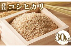 令和7年度産 コシヒカリ 玄米 30kg ｜ 栃木県宇都宮市 農家直送 ※2025年9月上旬頃より順次発送予定