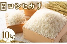 令和7年度産 コシヒカリ 精米 10kg ｜ 栃木県宇都宮市 農家直送 ※2025年9月上旬頃より順次発送予定