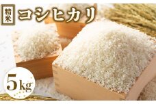 令和7年度産 コシヒカリ 精米 5kg ｜ 栃木県宇都宮市 農家直送 ※2025年9月上旬頃より順次発送予定