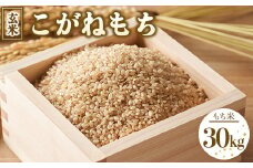 令和7年度産 こがねもち 玄米 30kg ｜ 栃木県宇都宮市 農家直送 ※2025年9月上旬頃より順次発送予定