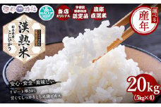 【令和6年産】 栃木県産コシヒカリ 「漢熟米」20kg（5kg×4） ◇