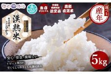 【令和6年産】栃木県産コシヒカリ 「漢熟米」5kg ◇