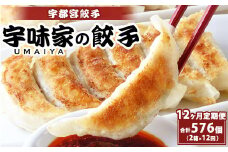 【定期便12ヶ月】宇都宮餃子 宇味家のぎょうざ　(生冷凍)　[20g×24個入り 2箱×12ヶ月]