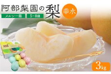 【糖度保証】阿部梨園の梨（3kg　メルシー箱）幸水　※離島への配送不可　※2025年8月中旬～8月下旬頃に順次発送予定