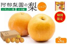 ＼9末まで 寄附額改定／阿部梨園の梨（3kg　レギュラー箱）にっこり　※離島への配送不可　※2025年10月上旬～10月下旬頃に順次発送予定